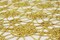 1 Yard Gold Sequin Chain Chemical Lace Embroidery Fabric for Dress Decor 54 Inches Wide